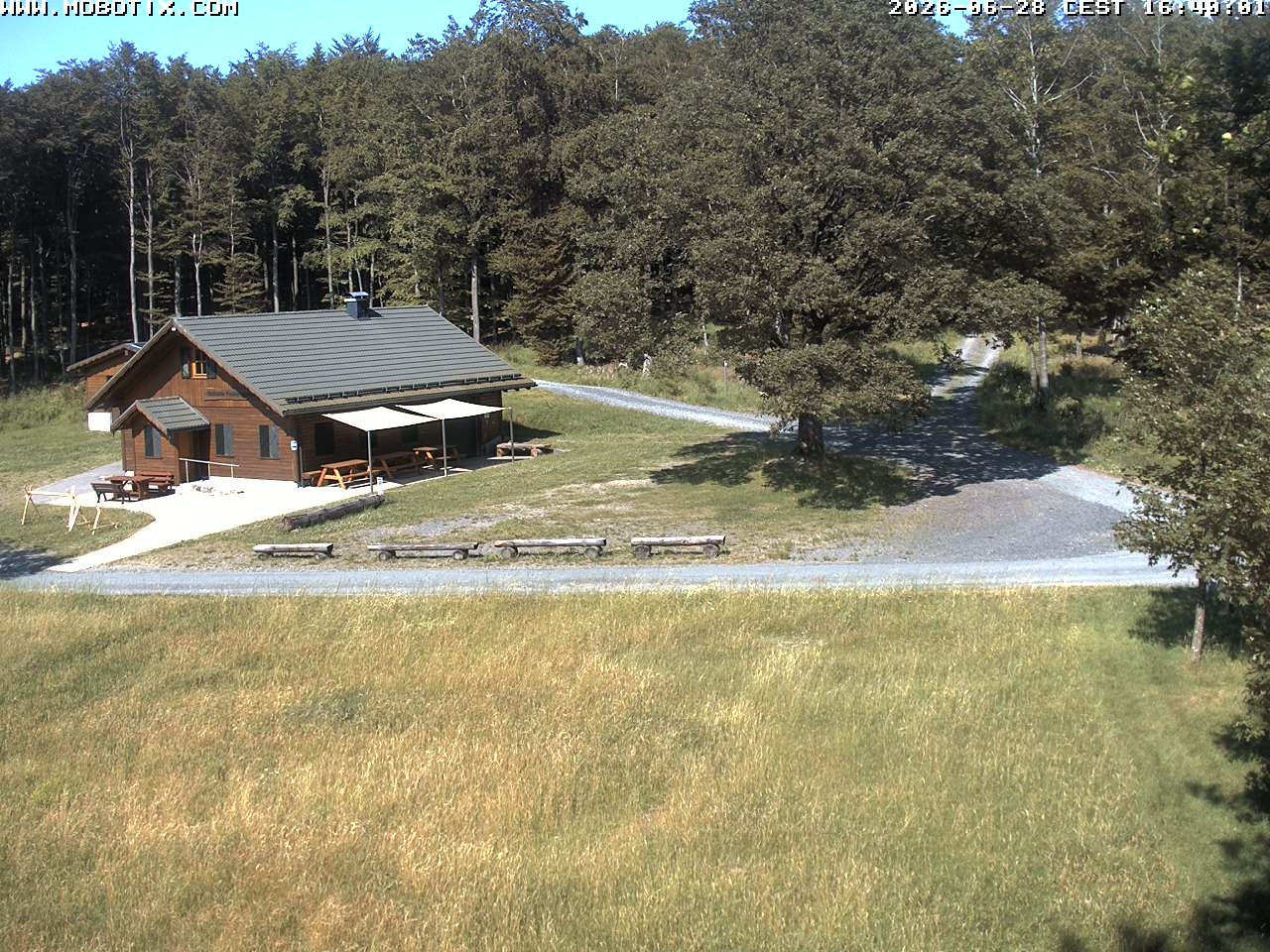 Archived image Webcam Hallenberg - Pastorenwiese