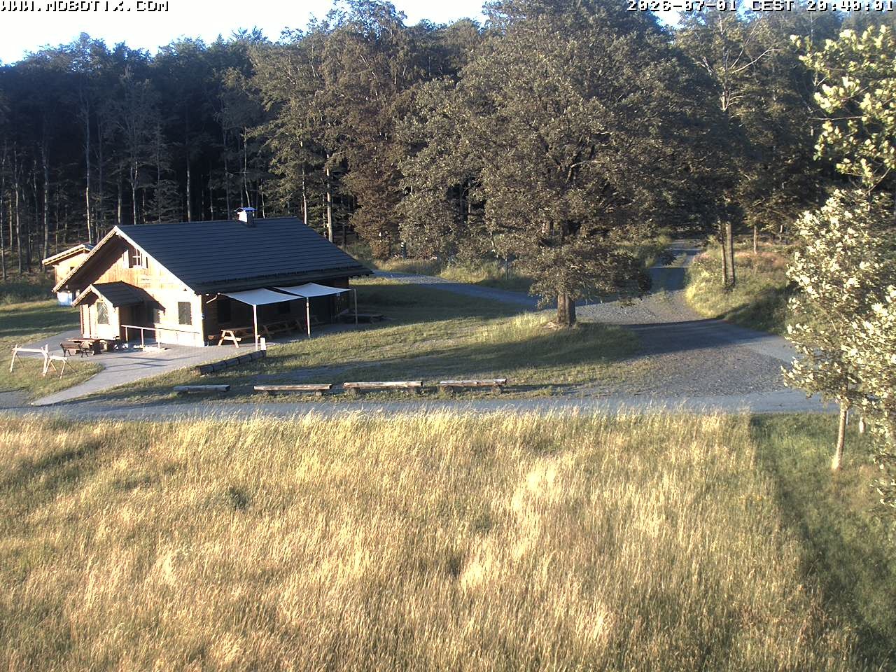 Archived image Webcam Hallenberg - Pastorenwiese