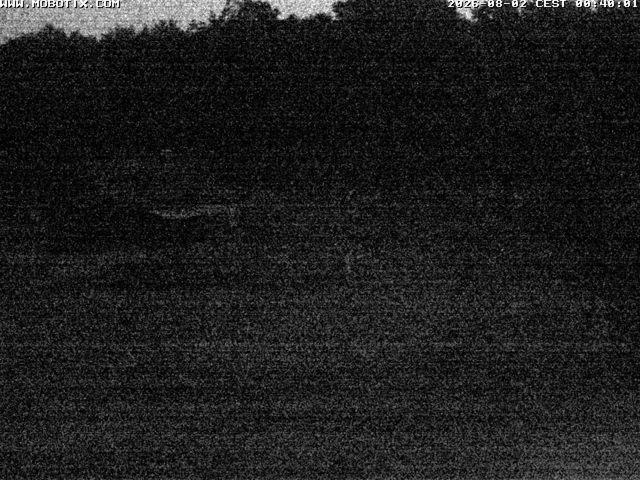 Archiv Foto Webcam Wunderthausen - Pastorenwiese