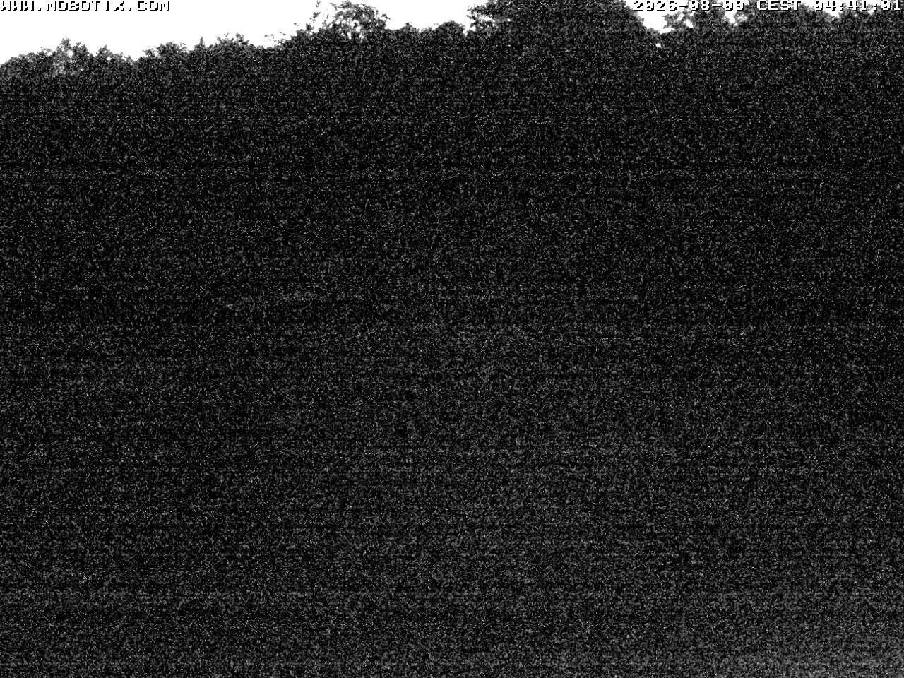 Archiv Foto Webcam Wunderthausen - Pastorenwiese