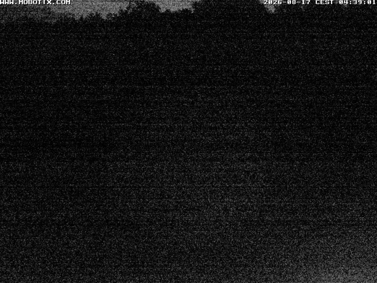 Archived image Webcam Hallenberg - Pastorenwiese