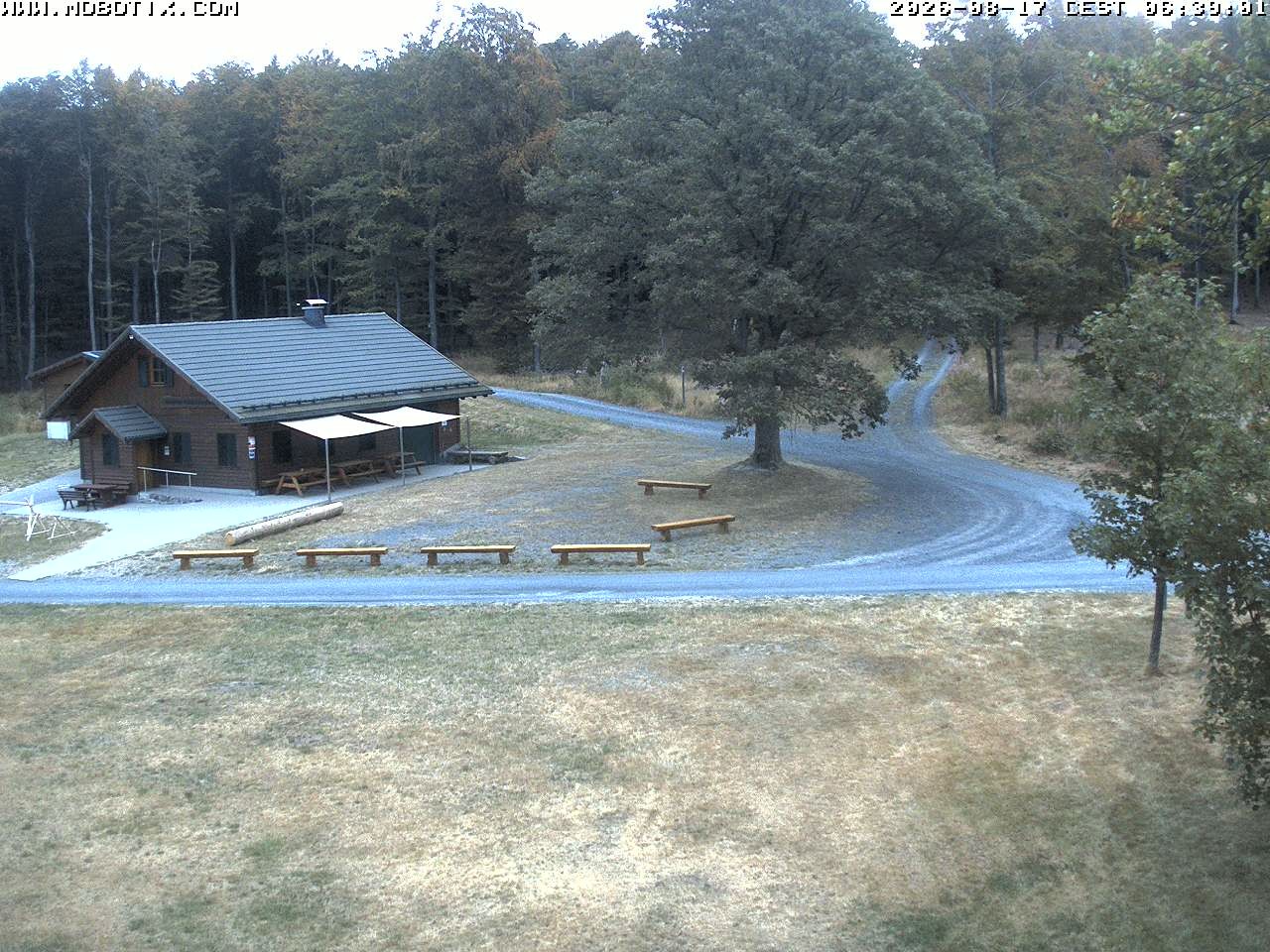 Archived image Webcam Hallenberg - Pastorenwiese