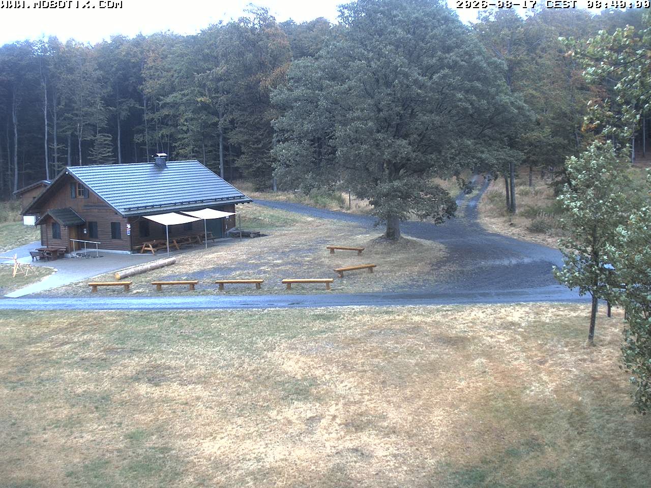 Archived image Webcam Hallenberg - Pastorenwiese