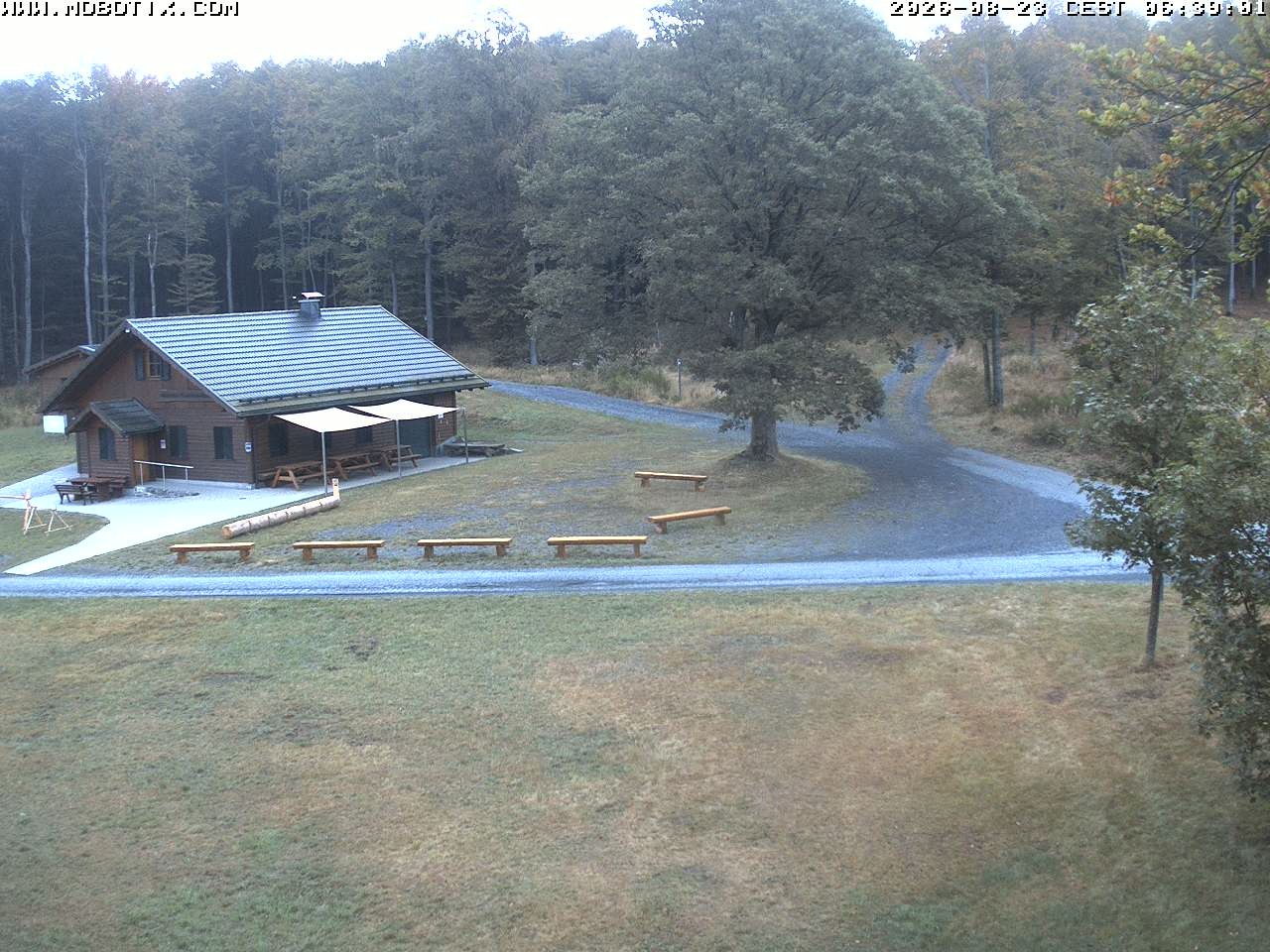 Archived image Webcam Hallenberg - Pastorenwiese