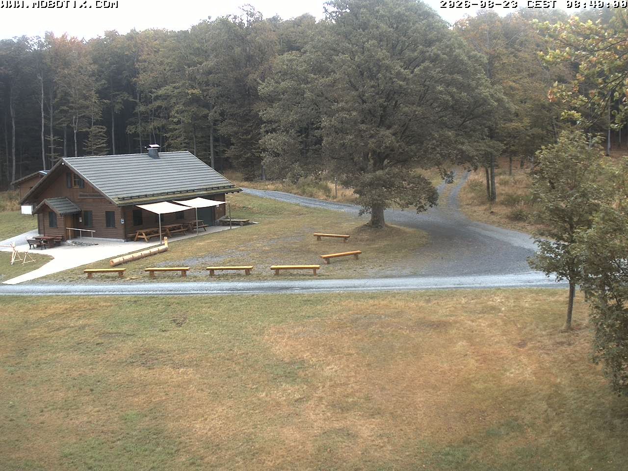 Archived image Webcam Hallenberg - Pastorenwiese