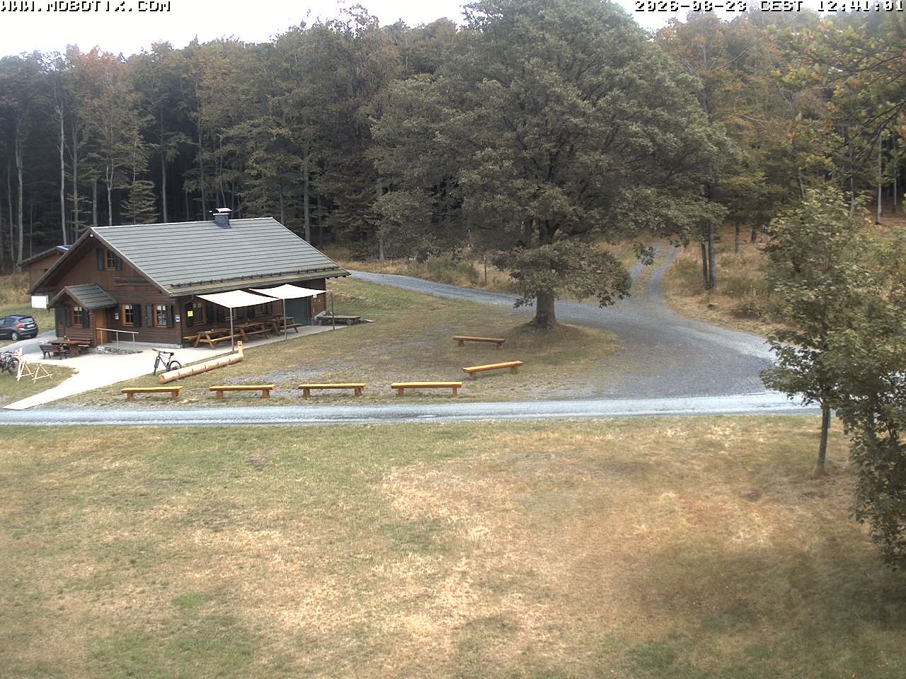 Archived image Webcam Hallenberg - Pastorenwiese
