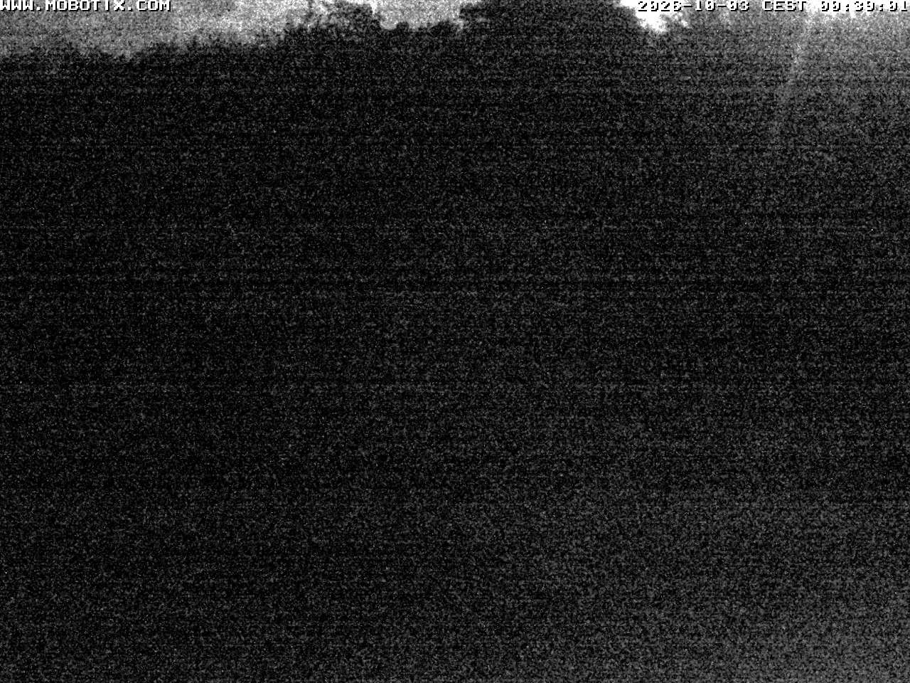 Archived image Webcam Hallenberg - Pastorenwiese