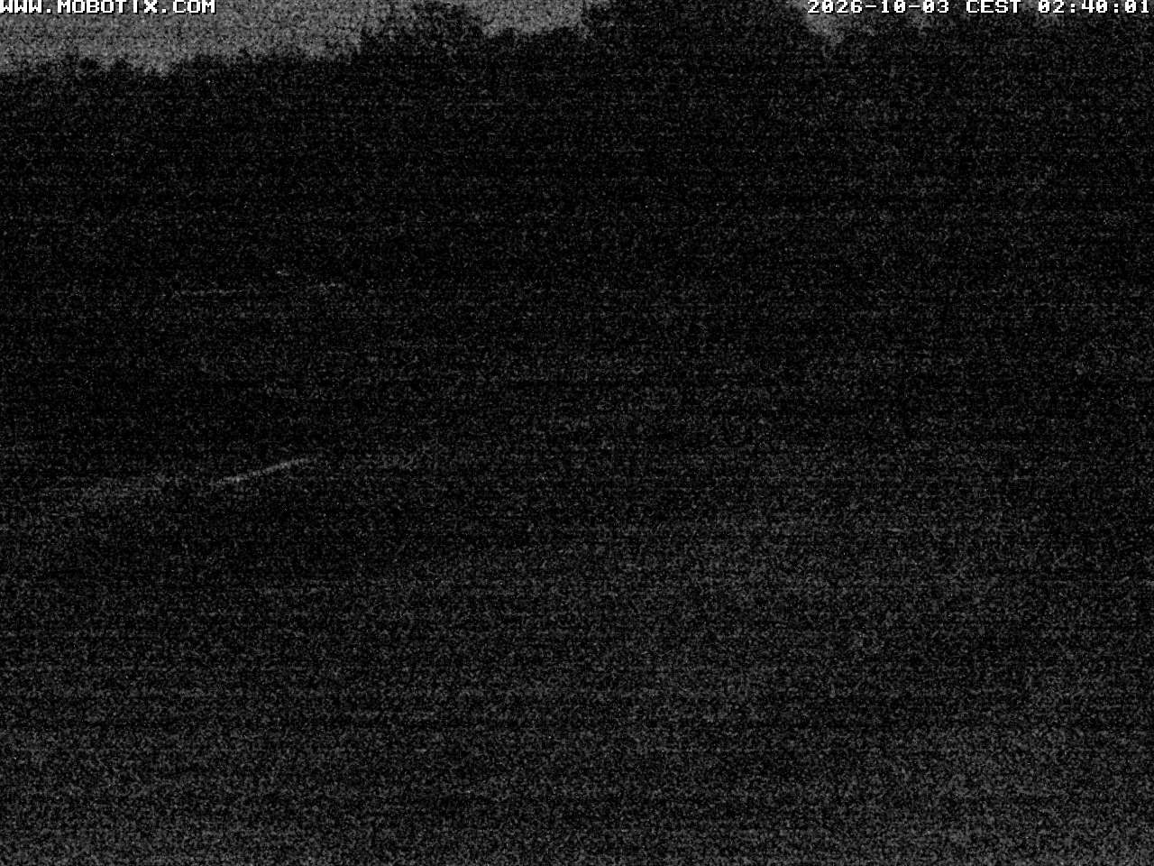 Archived image Webcam Hallenberg - Pastorenwiese