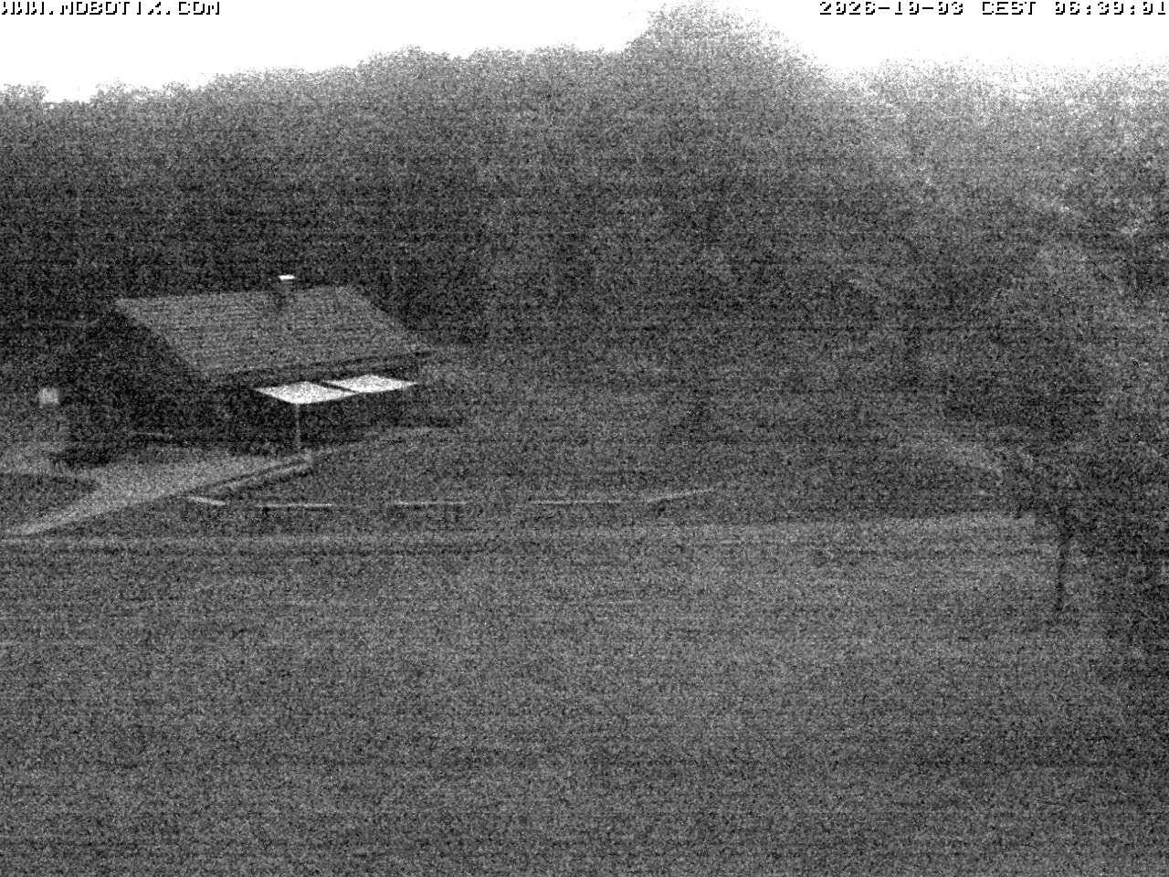 Archived image Webcam Hallenberg - Pastorenwiese