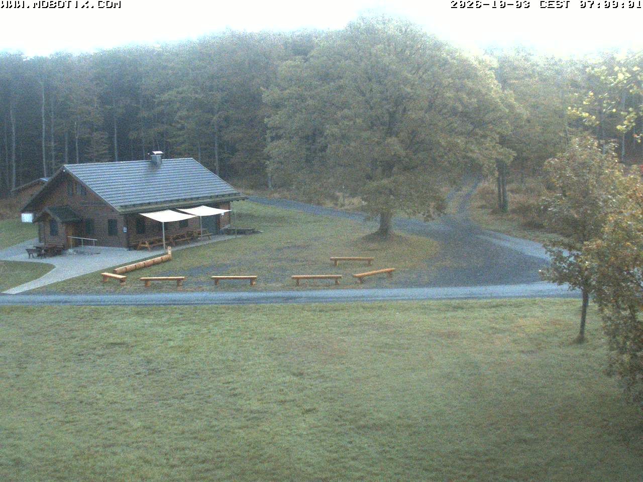 Archived image Webcam Hallenberg - Pastorenwiese