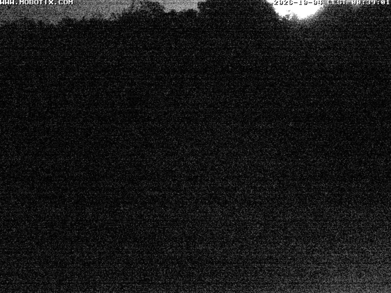Archiv Foto Webcam Wunderthausen - Pastorenwiese
