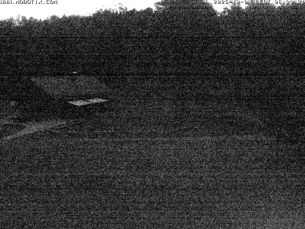 Archiv Foto Webcam Wunderthausen - Pastorenwiese