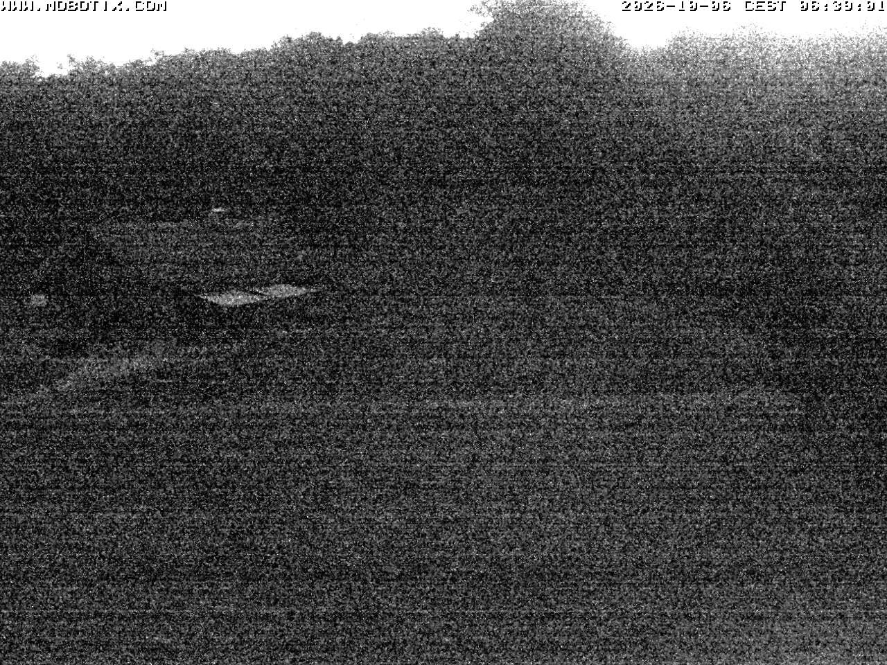 Archiv Foto Webcam Wunderthausen - Pastorenwiese