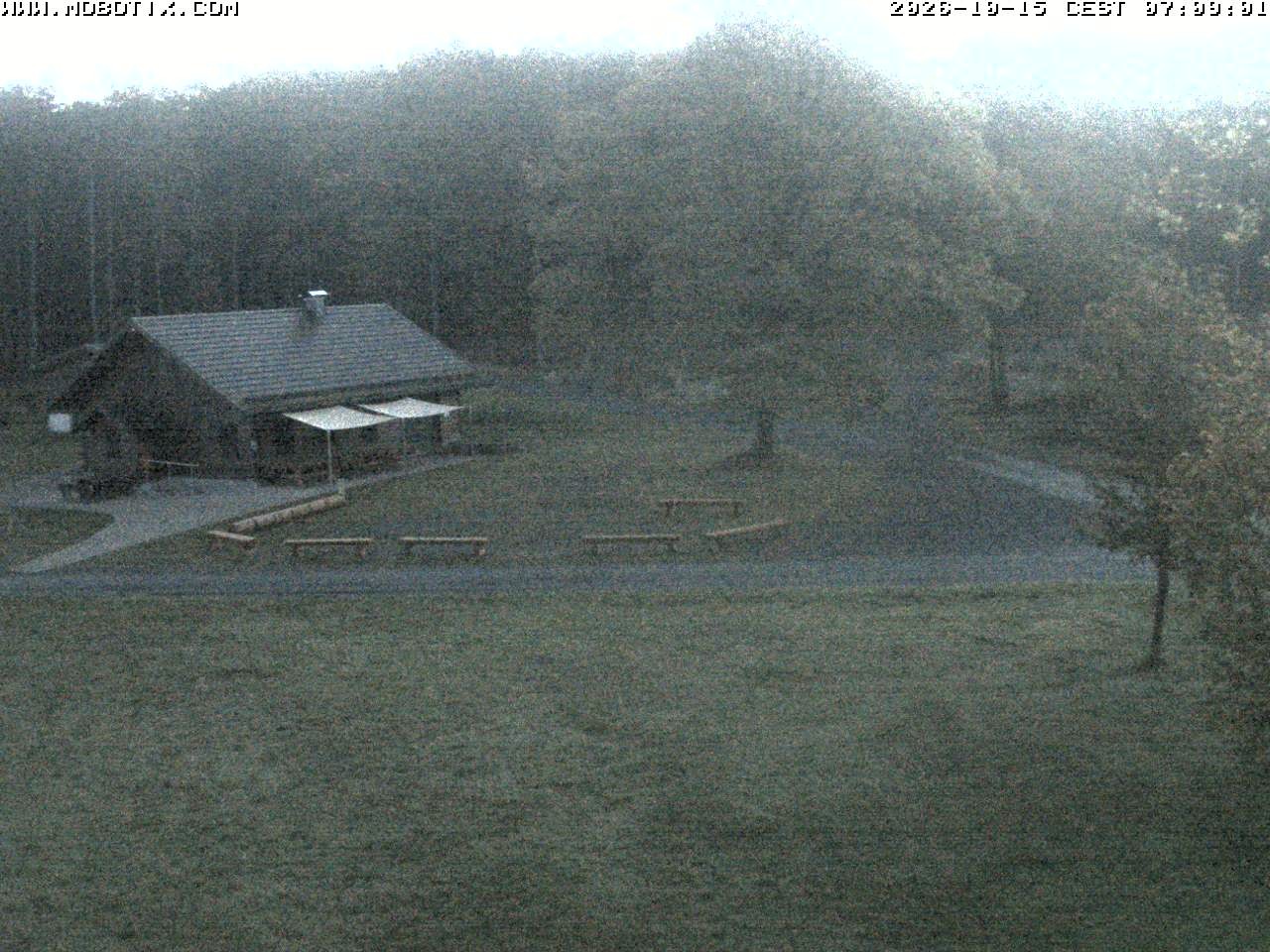 Archived image Webcam Hallenberg - Pastorenwiese