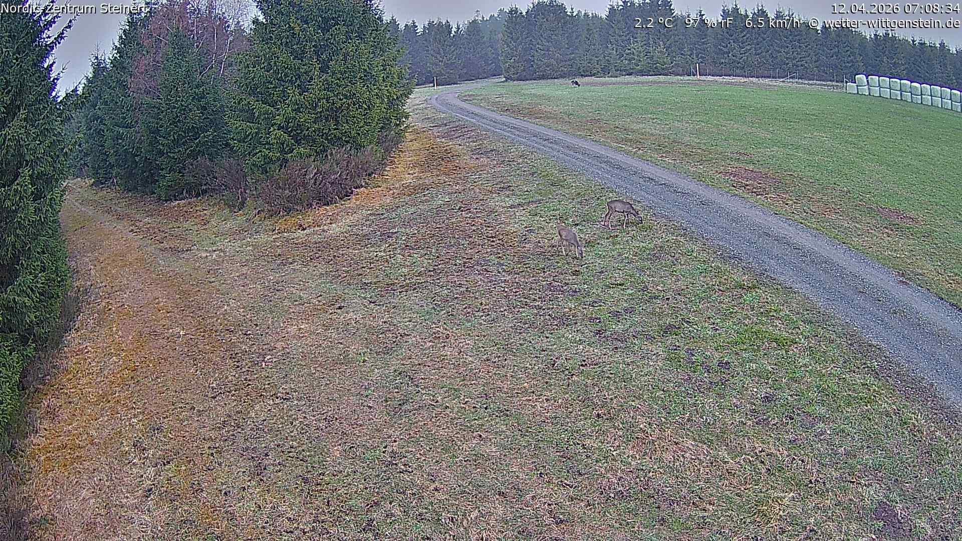 Archiv Foto Webcam Girkhausen - Auf der Steinert