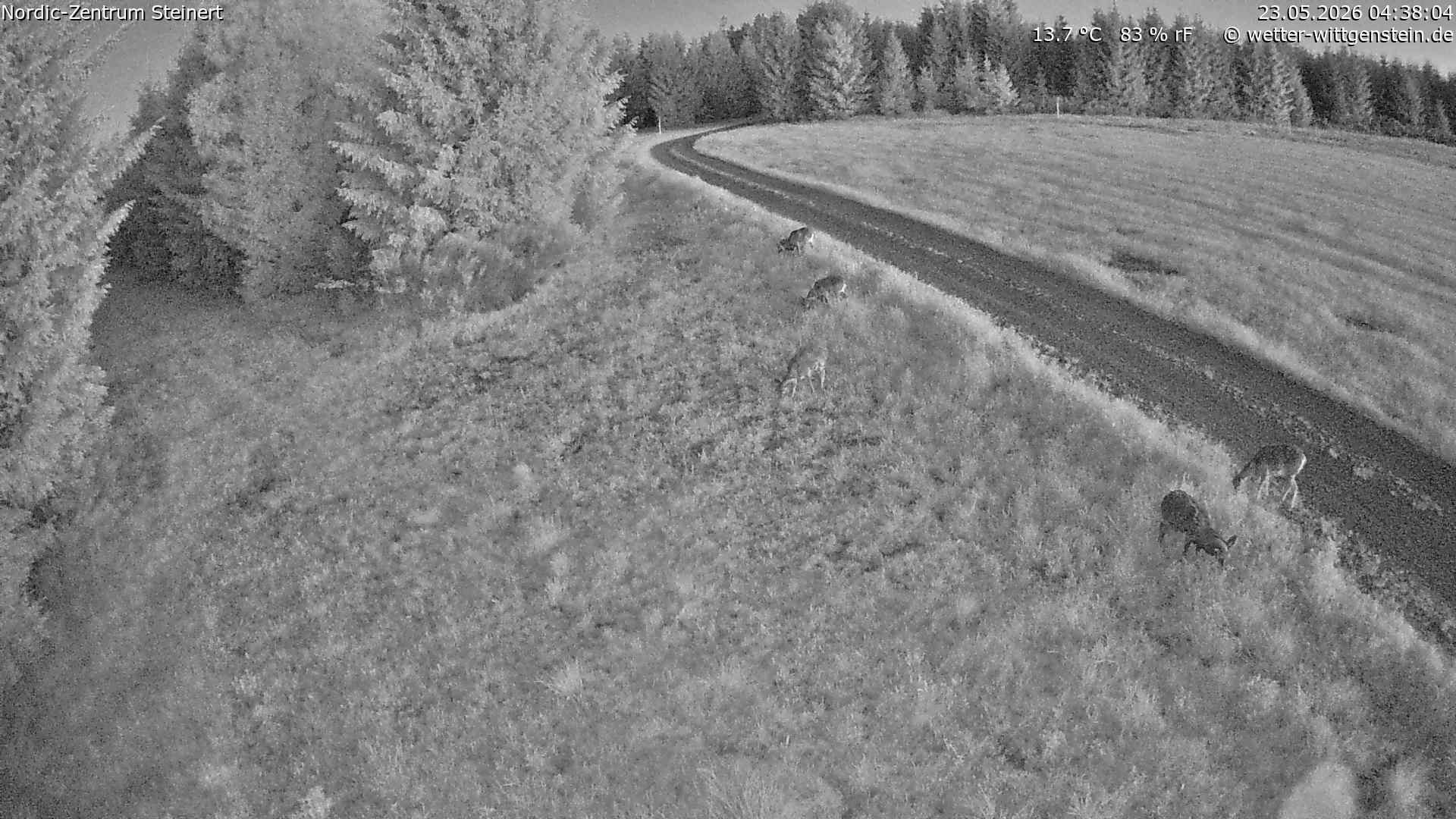 Archiv Foto Webcam Girkhausen - Auf der Steinert