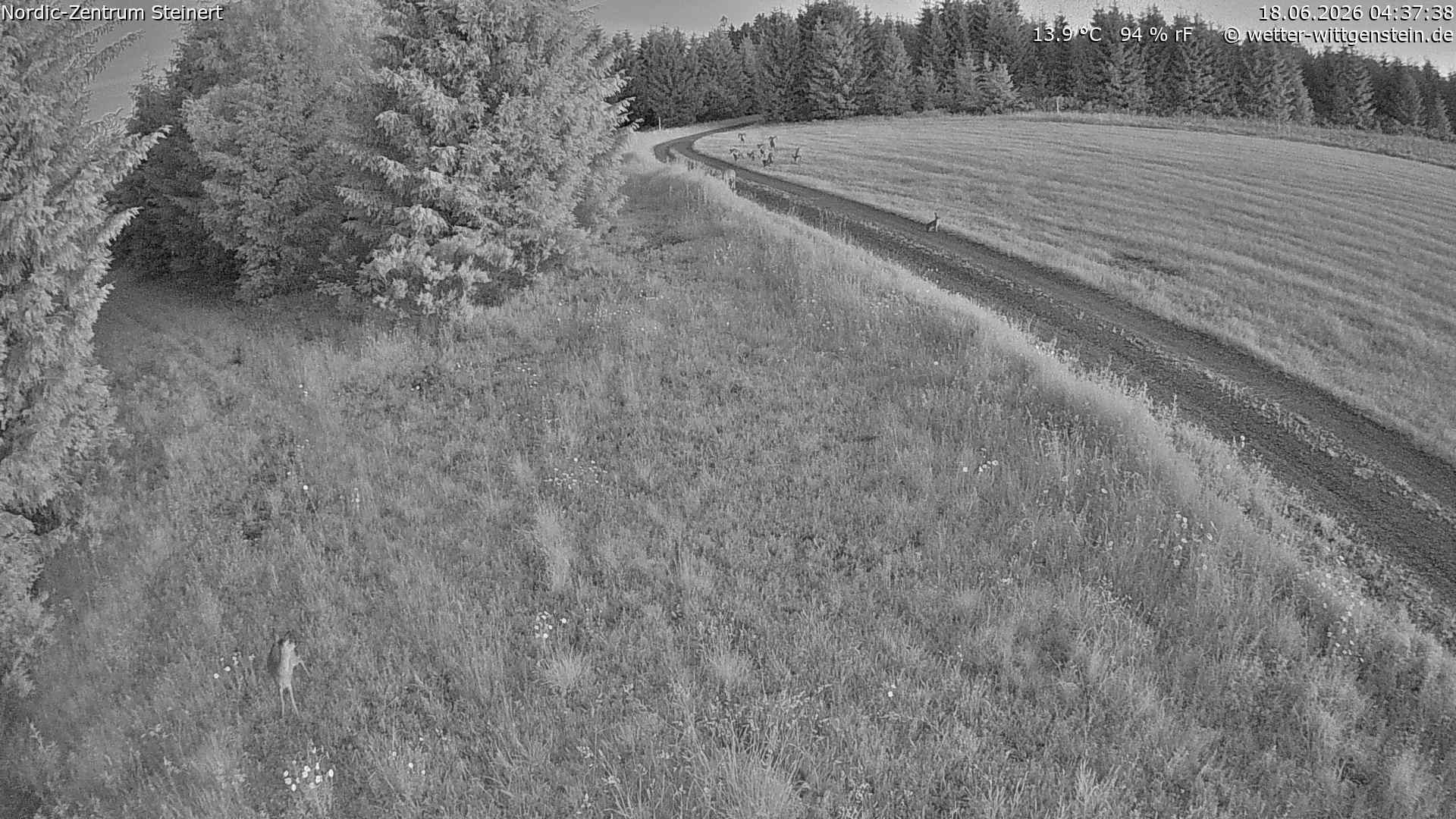 Archived image Webcam Sauerland: Girkhausen