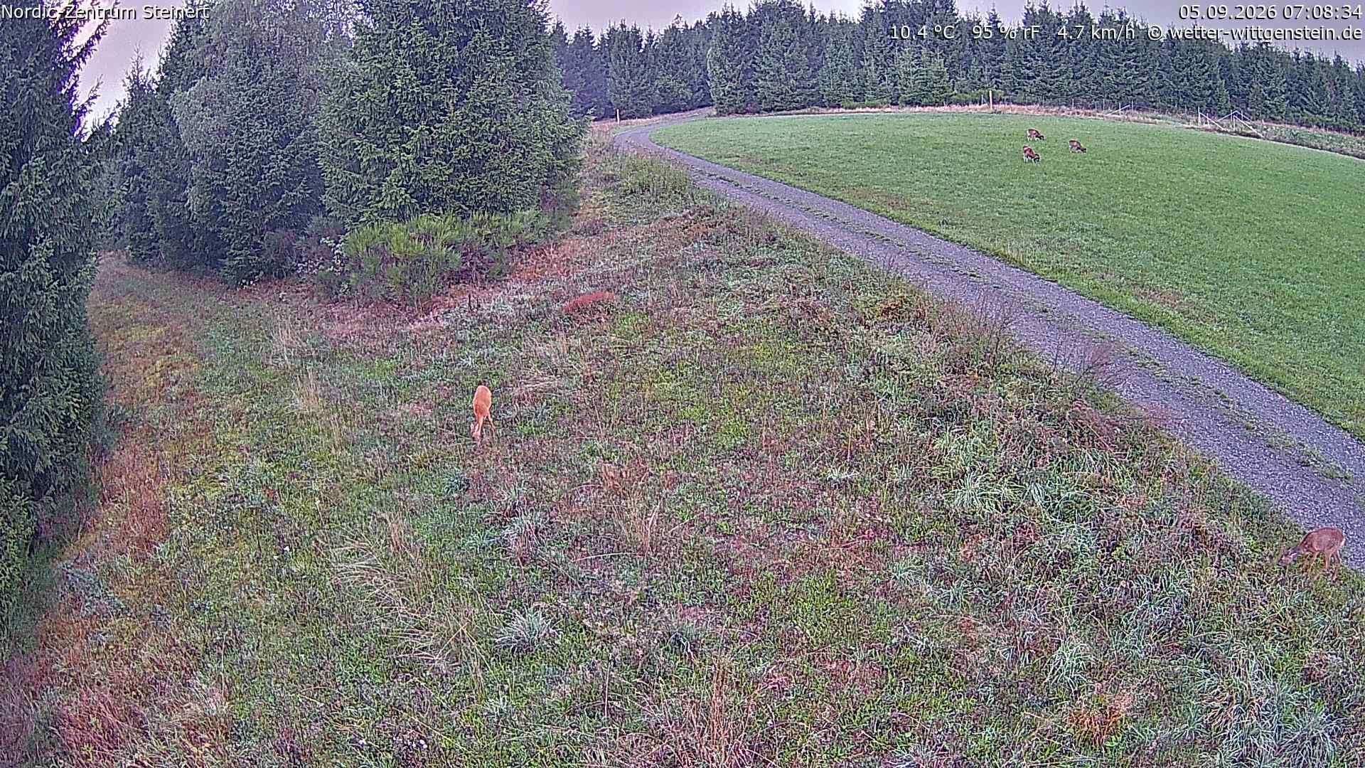 Archiv Foto Webcam Girkhausen - Auf der Steinert
