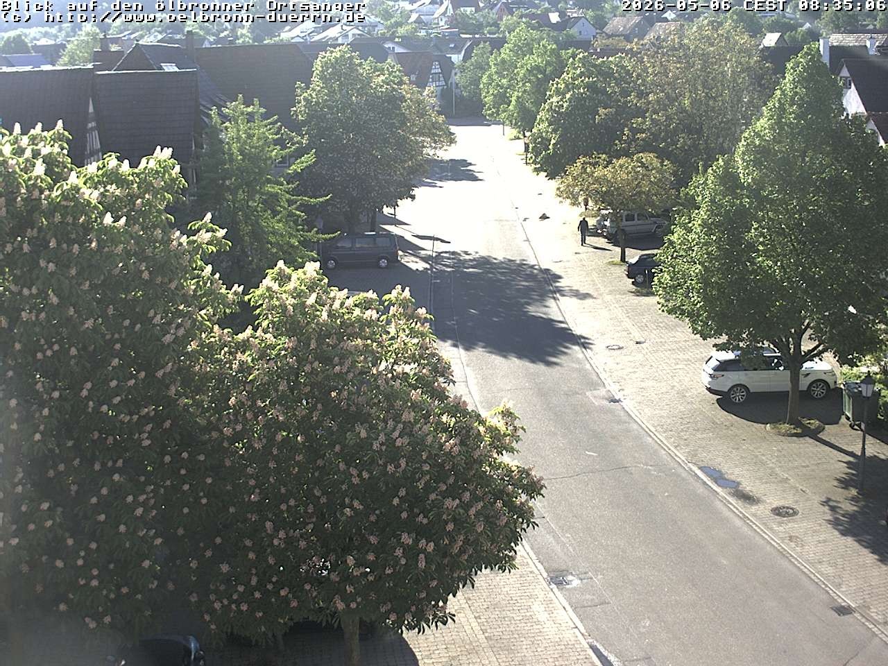 Archiv Foto Webcam Gemeinde Ölbronn-Dürrn