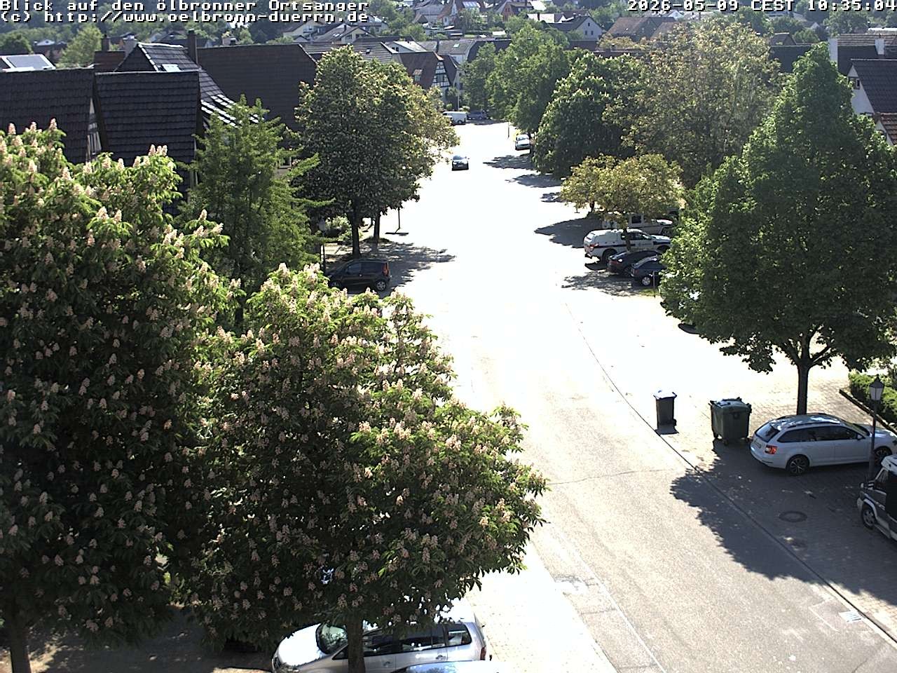 Archiv Foto Webcam Gemeinde Ölbronn-Dürrn