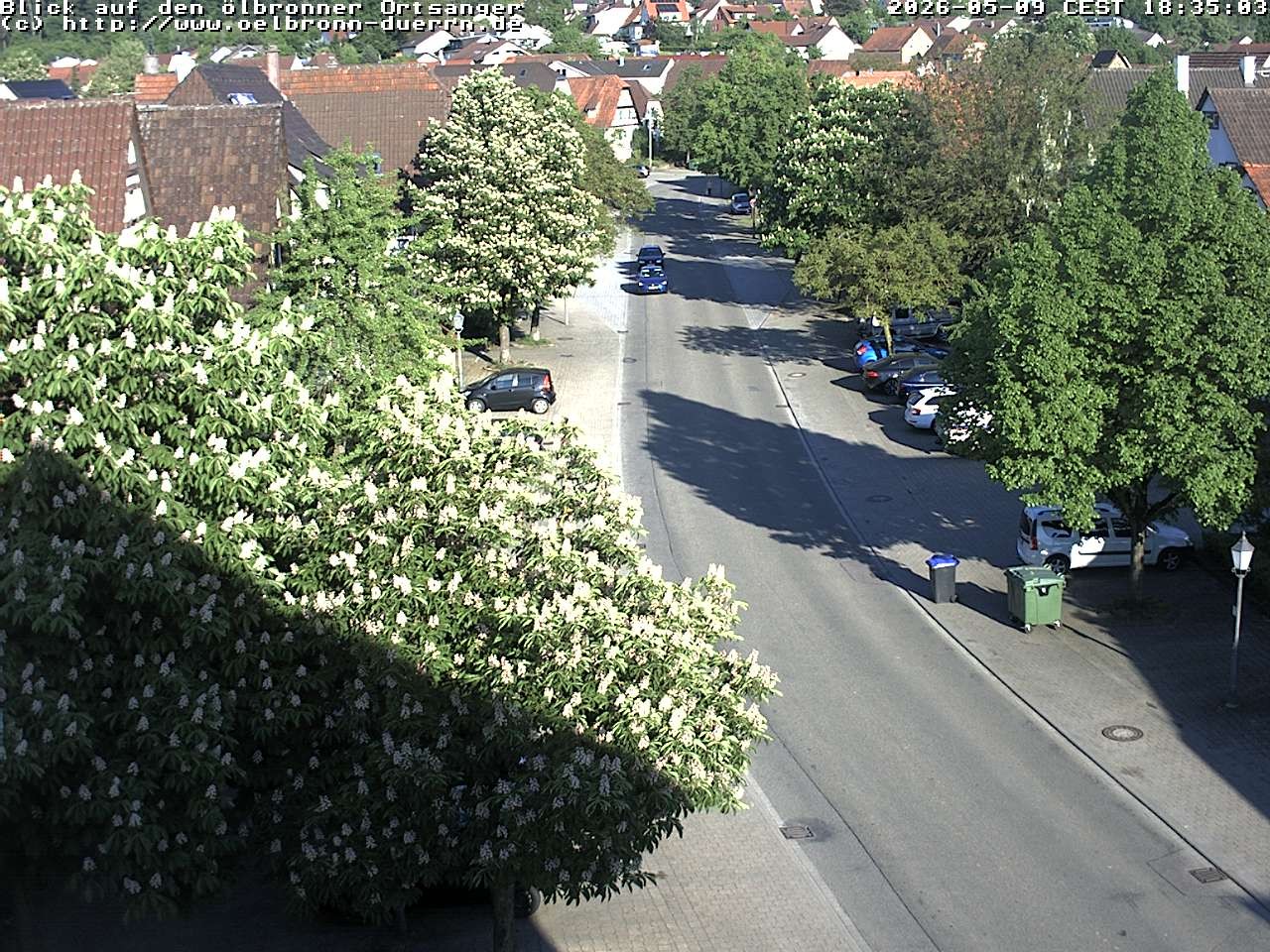 Archiv Foto Webcam Gemeinde Ölbronn-Dürrn
