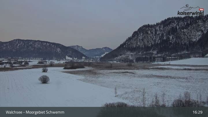 Archiv Foto Webcam Moorgebiet Schwemm am Walchsee