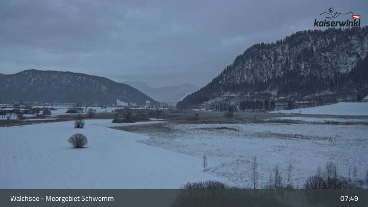 Archiv Foto Webcam Moorgebiet Schwemm am Walchsee