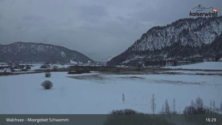 Archiv Foto Webcam Moorgebiet Schwemm am Walchsee