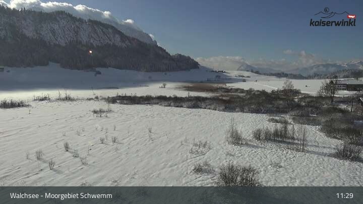 Archiv Foto Webcam Moorgebiet Schwemm am Walchsee
