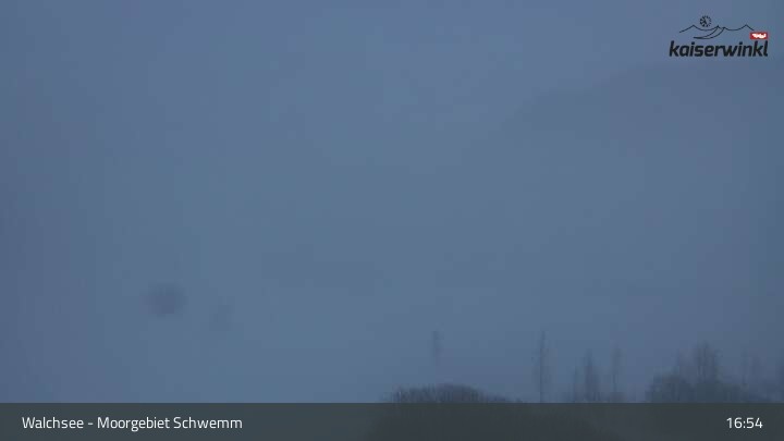 Archiv Foto Webcam Moorgebiet Schwemm am Walchsee