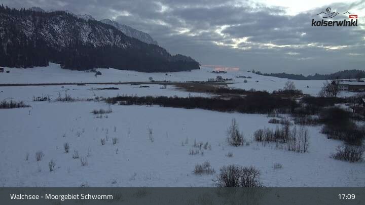 Archived image Webcam Schwemm Moorland by Lake Walchsee