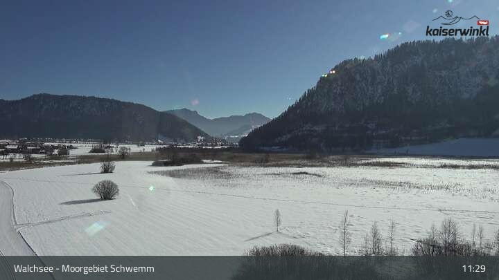 Archived image Webcam Schwemm Moorland by Lake Walchsee