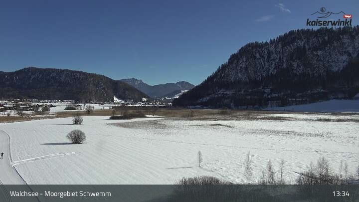 Archived image Webcam Schwemm Moorland by Lake Walchsee