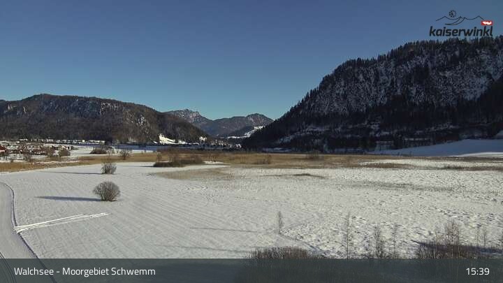 Archived image Webcam Schwemm Moorland by Lake Walchsee