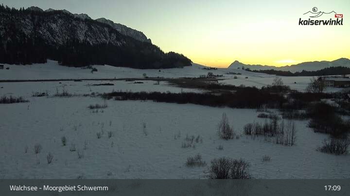 Archived image Webcam Schwemm Moorland by Lake Walchsee