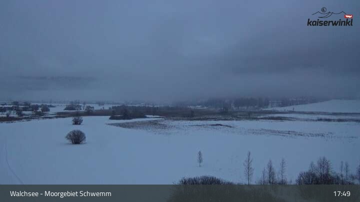 Archiv Foto Webcam Moorgebiet Schwemm am Walchsee