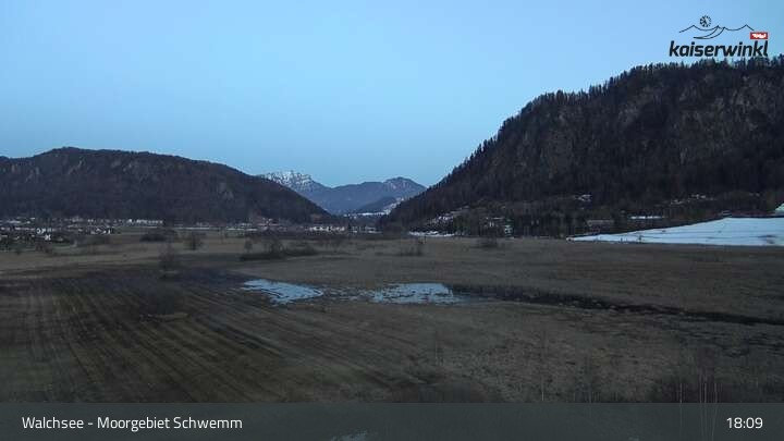 Archiv Foto Webcam Moorgebiet Schwemm am Walchsee