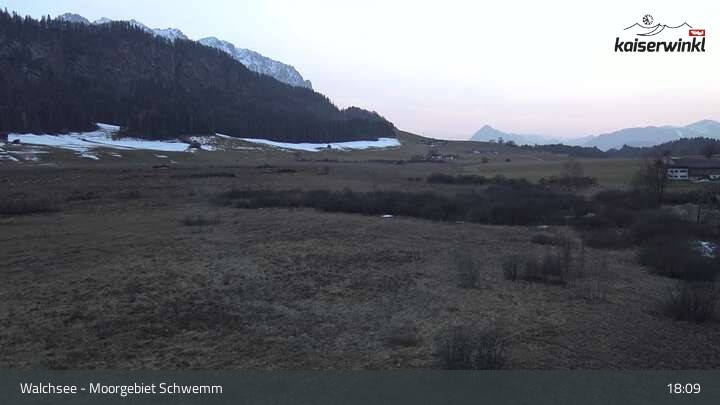 Archiv Foto Webcam Moorgebiet Schwemm am Walchsee
