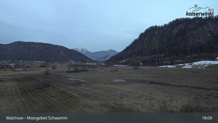 Archiv Foto Webcam Moorgebiet Schwemm am Walchsee