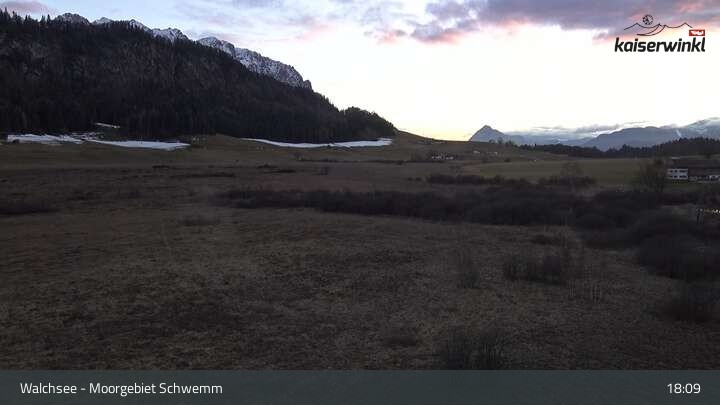 Archiv Foto Webcam Moorgebiet Schwemm am Walchsee