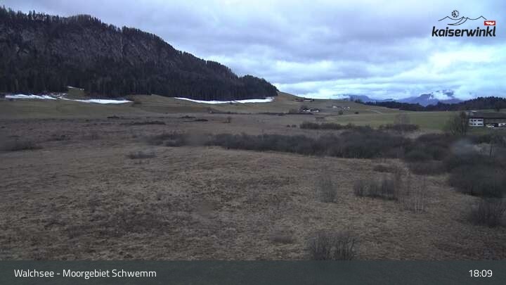 Archiv Foto Webcam Moorgebiet Schwemm am Walchsee