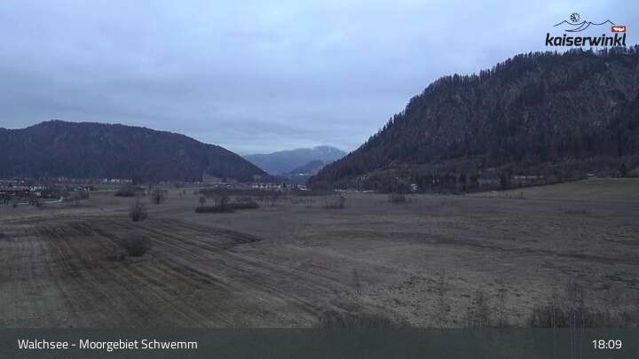 Archiv Foto Webcam Moorgebiet Schwemm am Walchsee