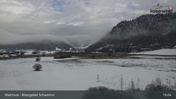 Archiv Foto Webcam Moorgebiet Schwemm am Walchsee