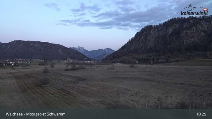 Archiv Foto Webcam Moorgebiet Schwemm am Walchsee