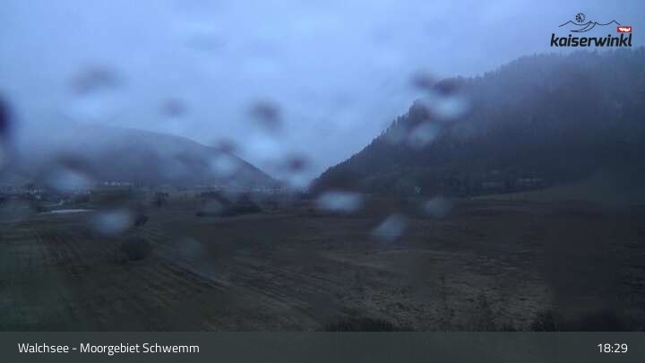 Archiv Foto Webcam Moorgebiet Schwemm am Walchsee