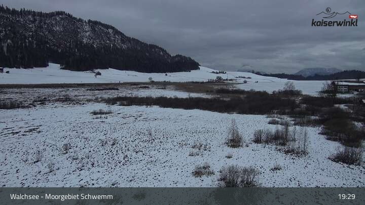 Archiv Foto Webcam Moorgebiet Schwemm am Walchsee