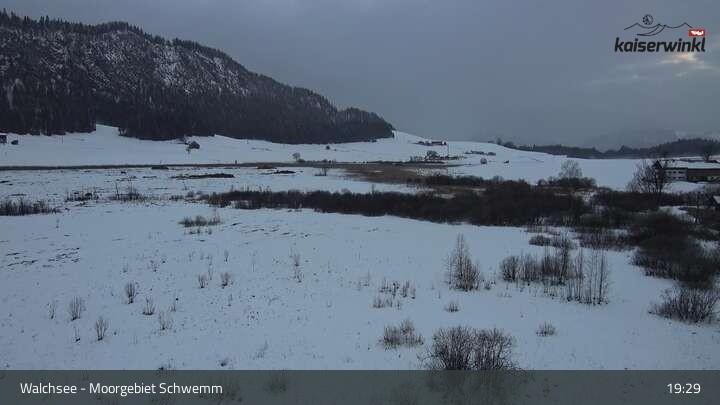 Archiv Foto Webcam Moorgebiet Schwemm am Walchsee