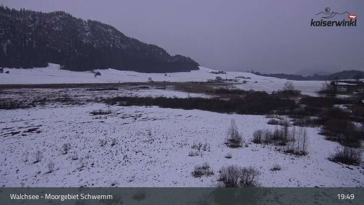 Archiv Foto Webcam Moorgebiet Schwemm am Walchsee