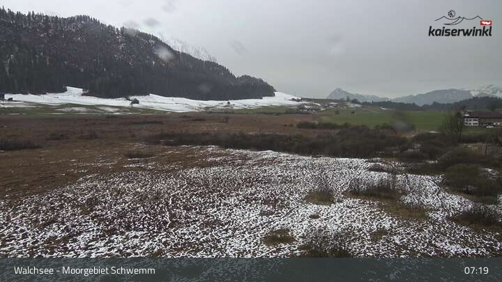 Archived image Webcam Schwemm Moorland by Lake Walchsee