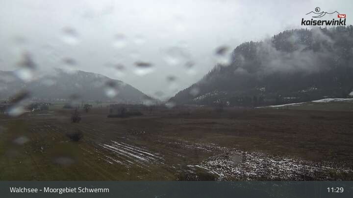 Archived image Webcam Schwemm Moorland by Lake Walchsee